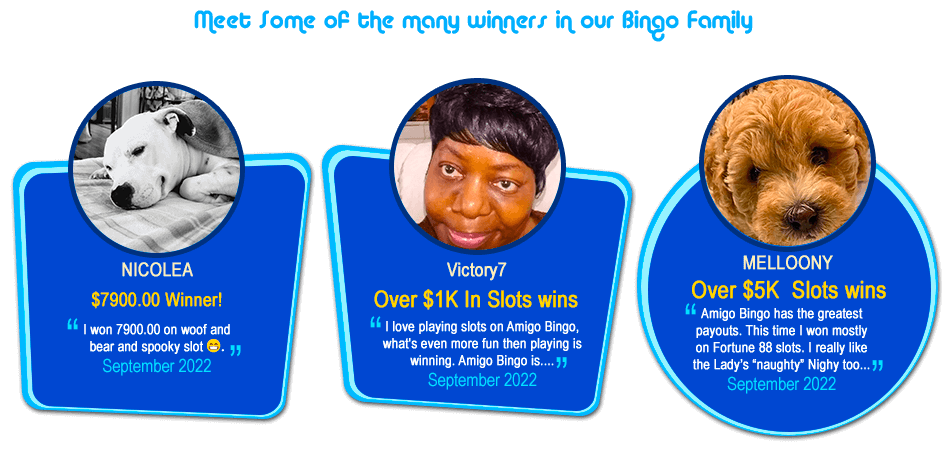 Meet Some Of The Many Winners In Our Bingo Family !!!