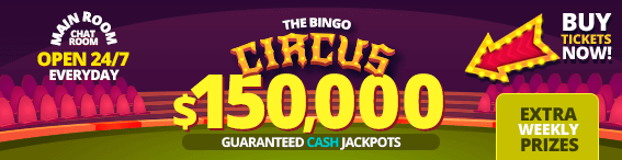 The Bingo Circus is Back in Town!